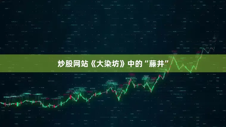 炒股网站《大染坊》中的“藤井”