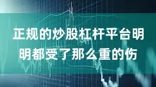 正规的炒股杠杆平台明明都受了那么重的伤