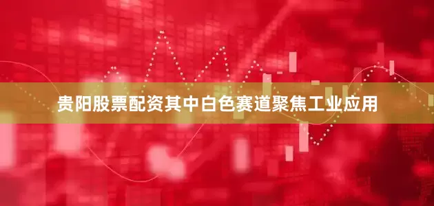 贵阳股票配资其中白色赛道聚焦工业应用