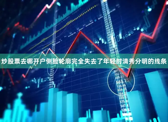 炒股票去哪开户侧脸轮廓完全失去了年轻时清秀分明的线条